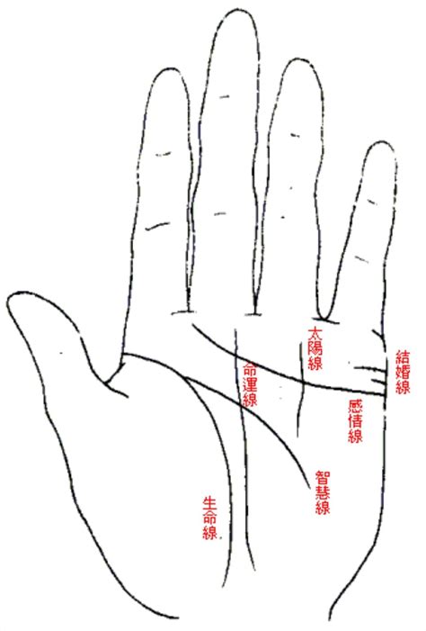 免費掌紋分析|【手相館】掌紋 (生命線、感情線、智慧線、婚姻線、太陽線、火。